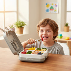 Bento Lunch box - Grey