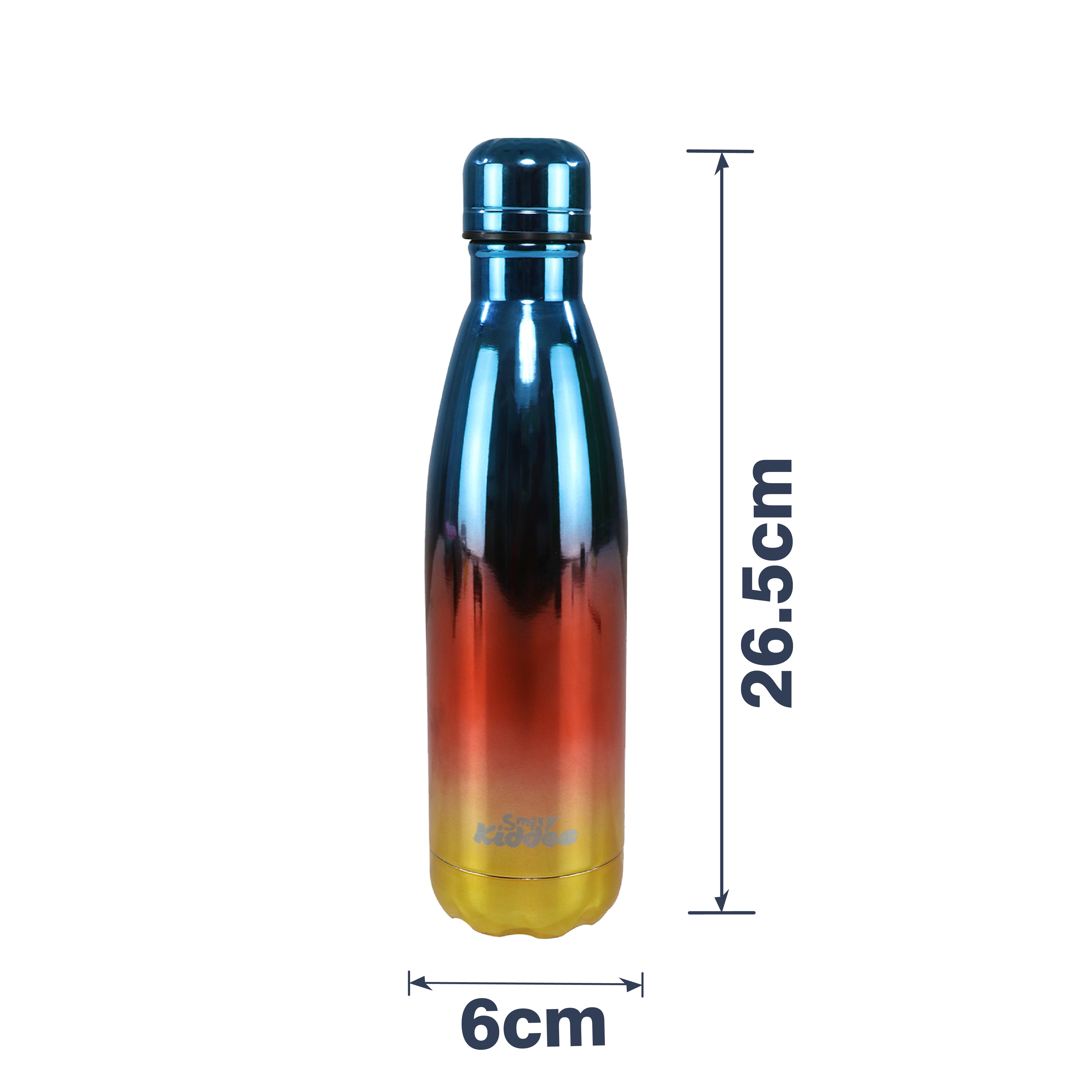  Stainless Steel Holographic Water Bottle Glossy Red dimension