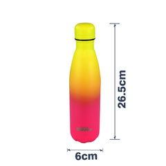 Stainless Steel Water Bottle  - Matte Yellow pink dimension