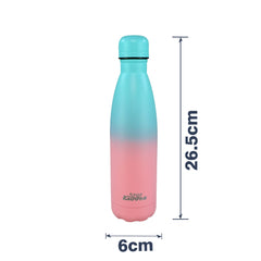 Stainless Steel Water Bottle  - Matte Teal Pink dimension