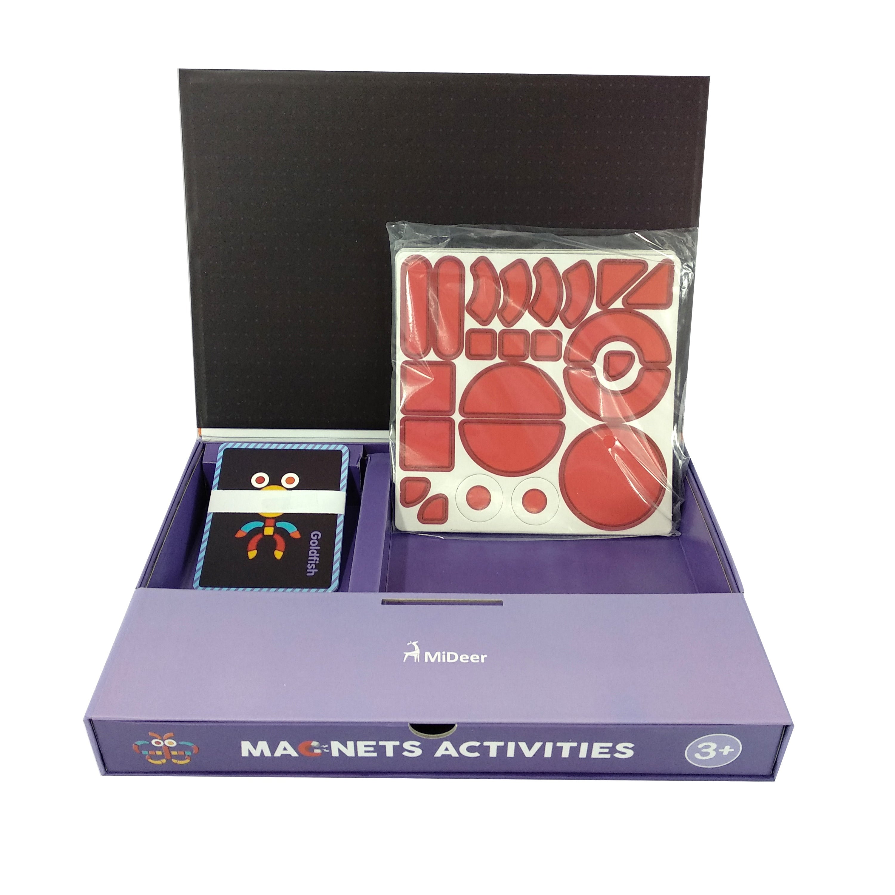 Magnets Activities