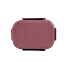 Smily Kiddos Stainless Steel Dream Land Theme Lunch Box - Light Pink for 3+ years
